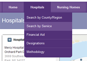 Service Search.png